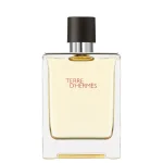 Hermès Terre d'Hermès Eau de Toilette 100ml