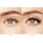 Ab-11149.webp