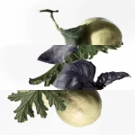 Ab-1224.webp