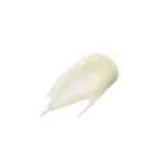 Ab-12958.webp