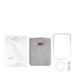 StylPro Glow & Go Mirror