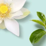 Ab-14576.webp