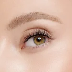 Ab-15081.webp