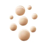 Ab-1562.webp