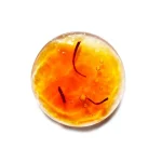 Ab-15935.webp