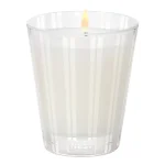 NEST New York Santorini Olive & Citron Classic Candle 230g