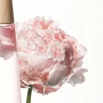 Ab-2062.webp
