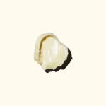 Ab-21717.webp
