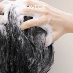 Ab-23142.webp