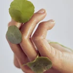 Ab-30534.webp