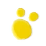 Ab-31347.webp