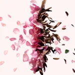 Ab-32923.webp