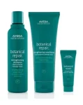 Aveda Botanical Repair Shampoo, Conditioner & Treatment Regime