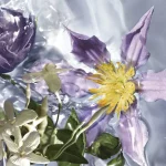 Ab-37336.webp