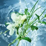 Ab-546.webp