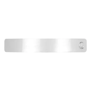 LEONOR GREYL Hairclip Silver 50g