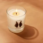 Ab-55997.webp