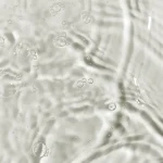 Ab-6455.webp