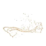 Ab-7799.webp