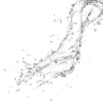 Ab-7827.webp