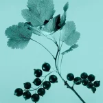 Ab-9643.webp