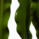 Ab-9672.webp