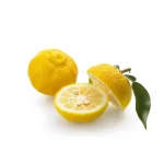 Ab-9672.webp